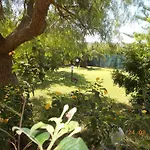 Casa Di Grazia Tatil Evi Bernalda
